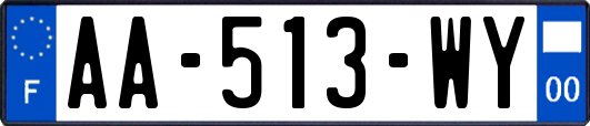 AA-513-WY