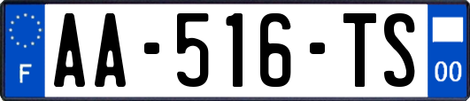 AA-516-TS