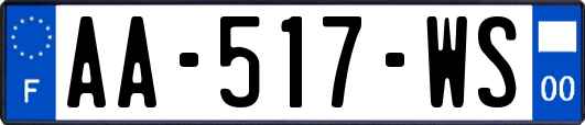 AA-517-WS