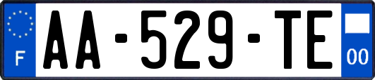 AA-529-TE