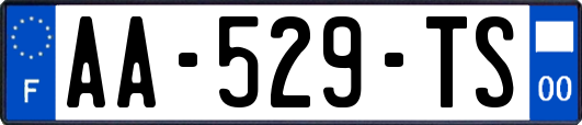 AA-529-TS