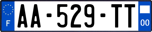 AA-529-TT