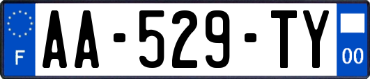 AA-529-TY