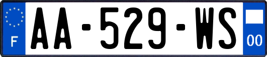 AA-529-WS