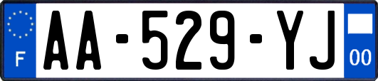 AA-529-YJ