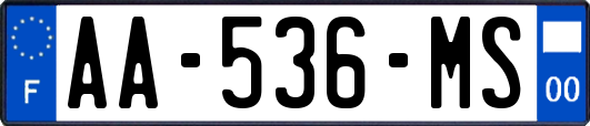 AA-536-MS