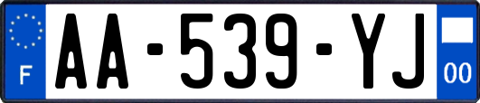 AA-539-YJ