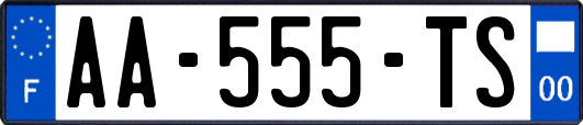 AA-555-TS