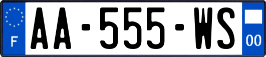 AA-555-WS