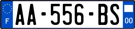 AA-556-BS