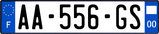 AA-556-GS