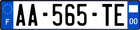 AA-565-TE