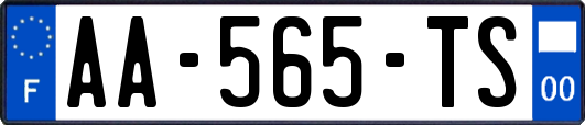 AA-565-TS