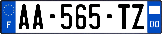 AA-565-TZ