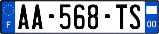 AA-568-TS