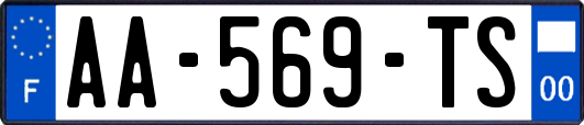 AA-569-TS