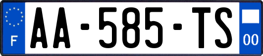 AA-585-TS