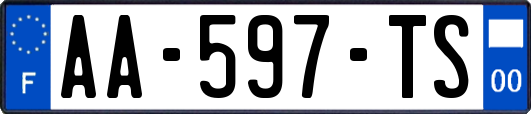 AA-597-TS