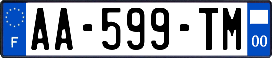 AA-599-TM