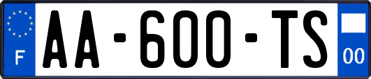 AA-600-TS