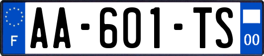 AA-601-TS