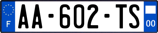 AA-602-TS