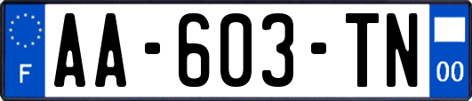 AA-603-TN