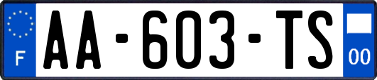 AA-603-TS