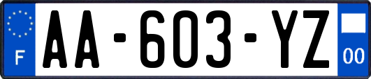 AA-603-YZ