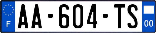 AA-604-TS