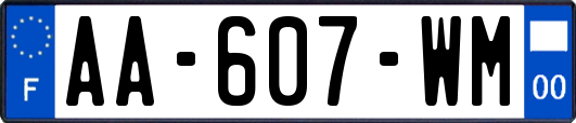 AA-607-WM