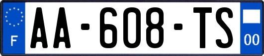 AA-608-TS