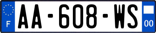 AA-608-WS