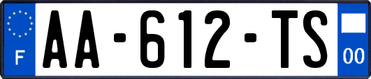 AA-612-TS