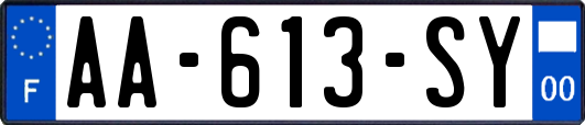 AA-613-SY