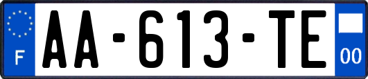 AA-613-TE