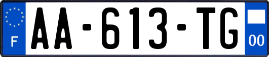 AA-613-TG