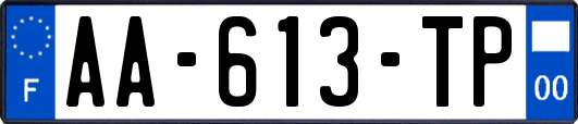 AA-613-TP