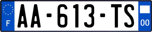 AA-613-TS