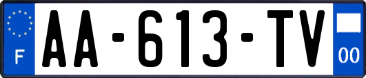 AA-613-TV