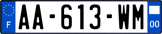 AA-613-WM