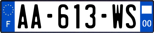 AA-613-WS