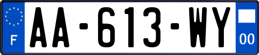 AA-613-WY