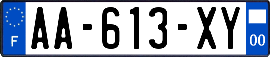 AA-613-XY