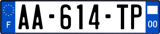 AA-614-TP