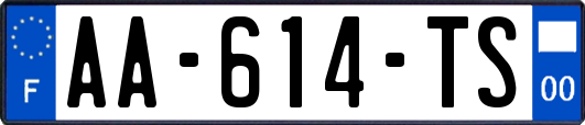 AA-614-TS