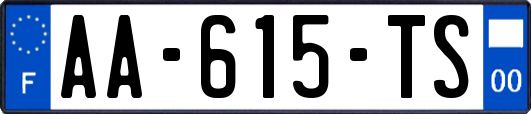 AA-615-TS