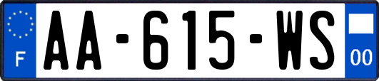 AA-615-WS