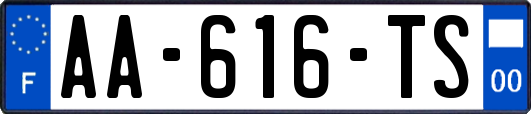 AA-616-TS