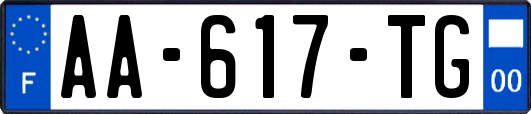 AA-617-TG